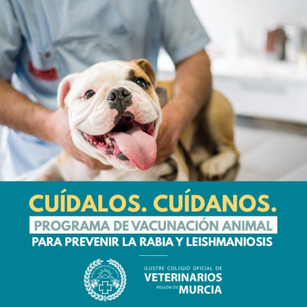 Campaa sensibilizacin leishmaniosis